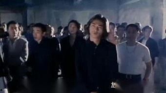 洪兴大飞哥在线观看,在线重温黑帮传奇风云  第3张