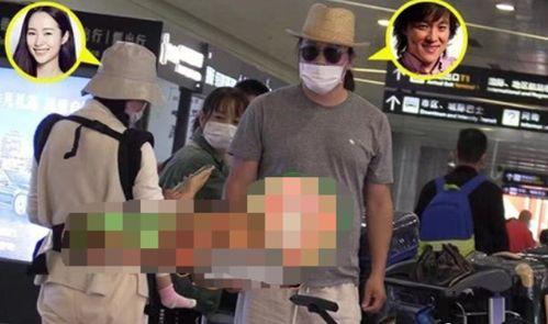 卓伟爆料娱乐圈同性,卓伟爆料背后的真相  第3张