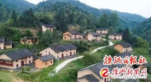 茶陵爆料最新消息新闻,最新突发新闻事件回顾  第1张